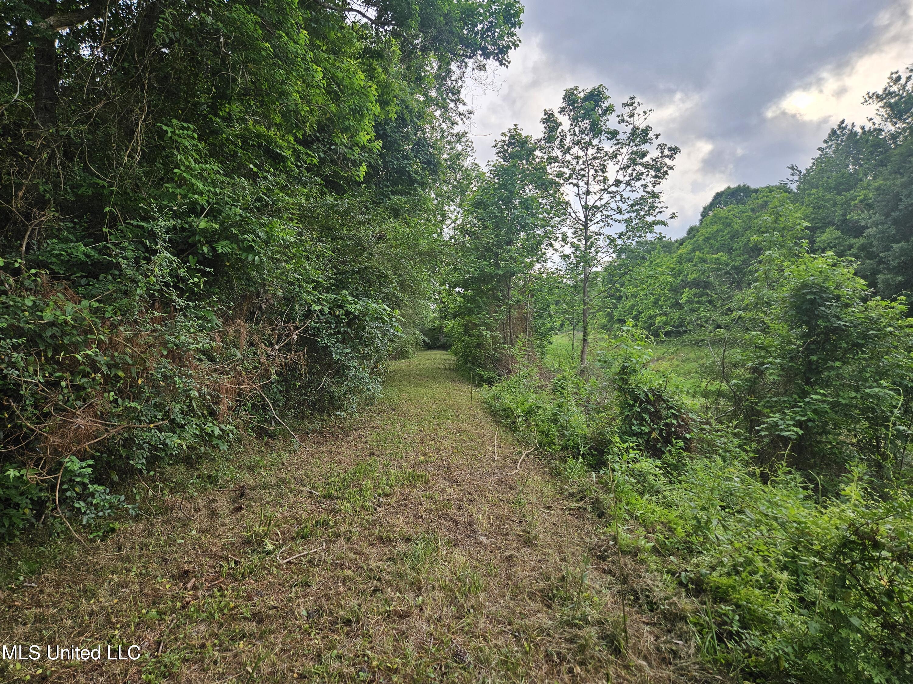 6067 Daugherty Road, Long Beach, Mississippi image 49