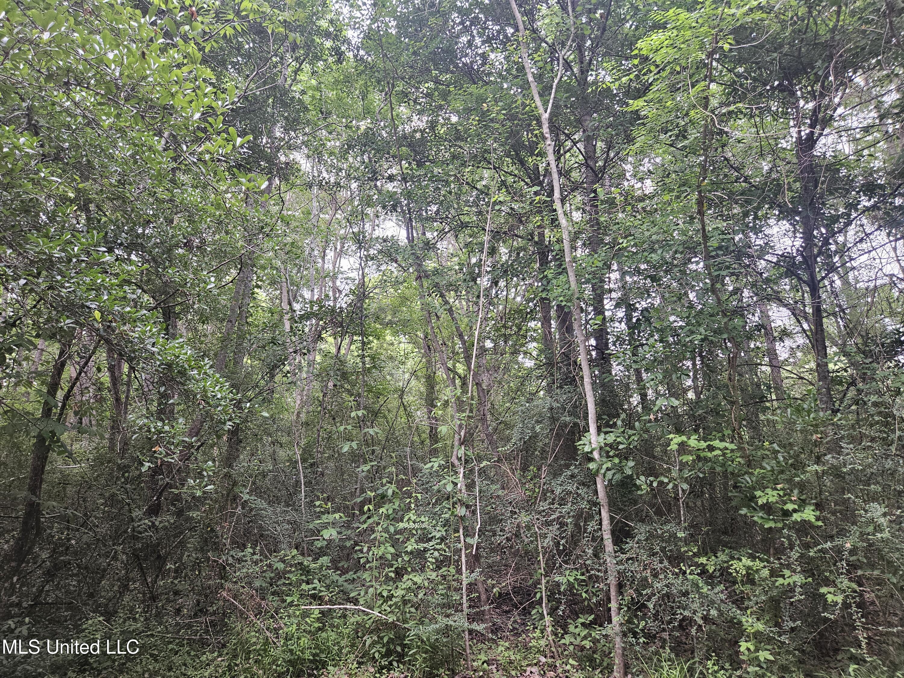 6067 Daugherty Road, Long Beach, Mississippi image 45