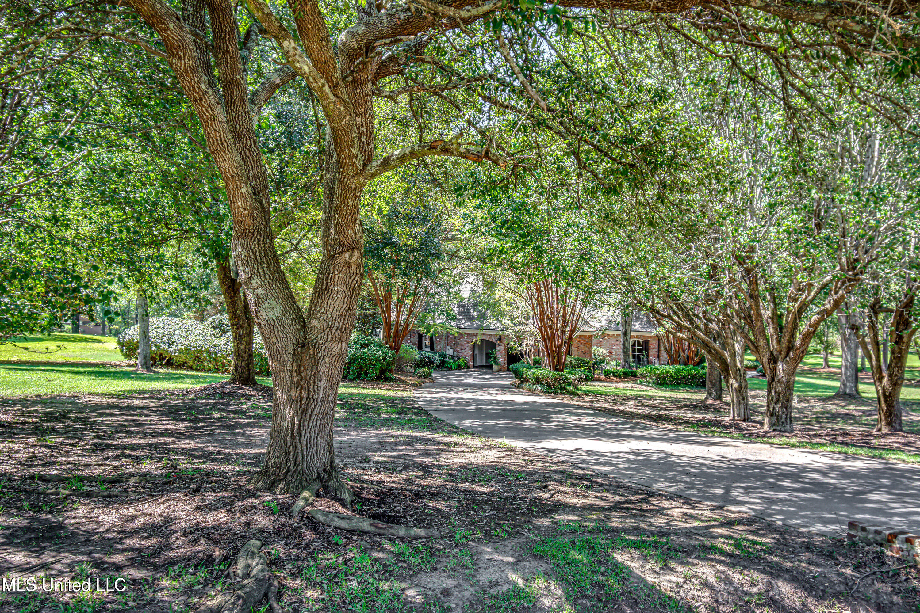 Ridgeland, Mississippi 39157, United States, 5 Bedrooms Bedrooms, ,5 BathroomsBathrooms,Residential,Active,141809