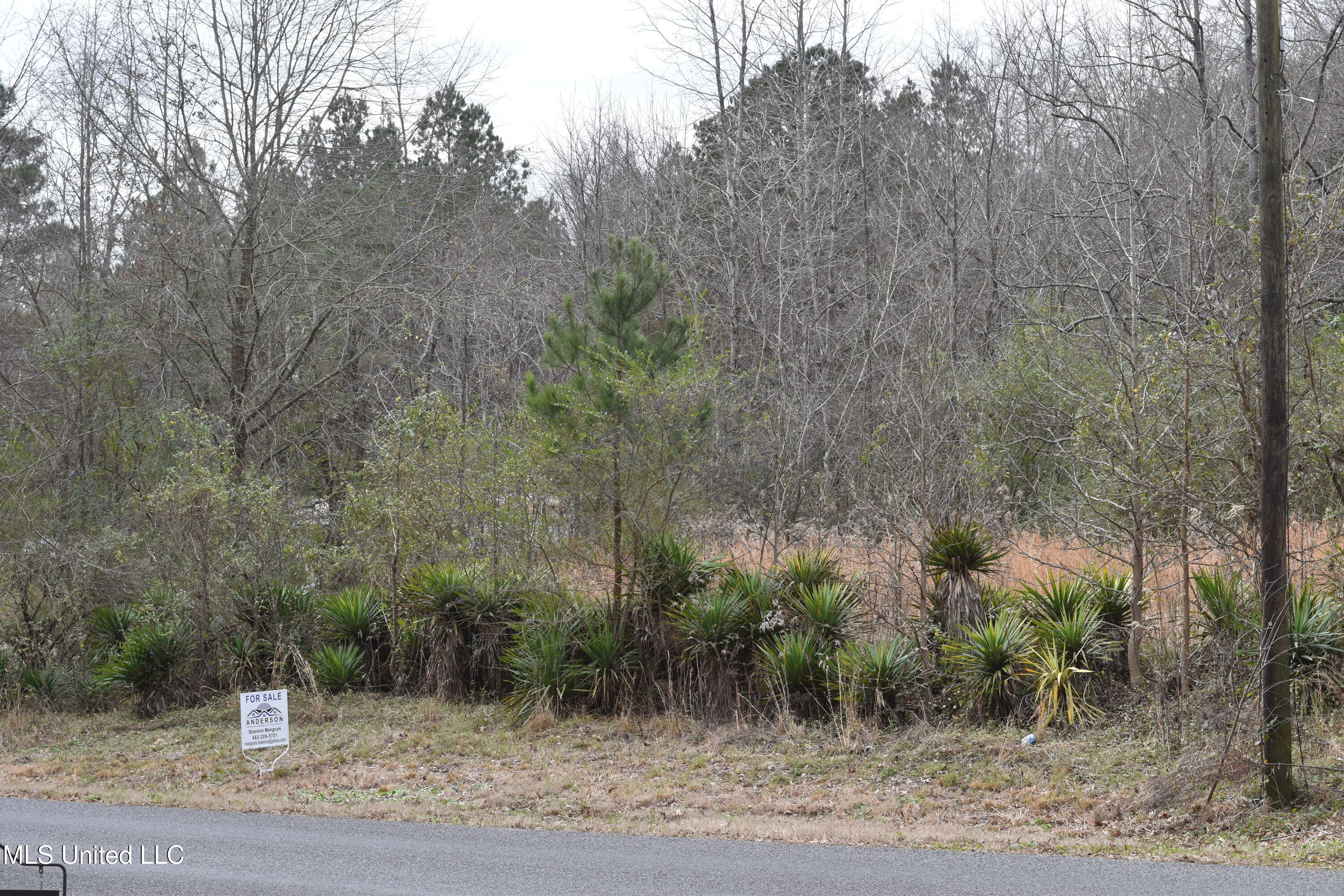 Gravel Springs Road, Senatobia, Mississippi image 1