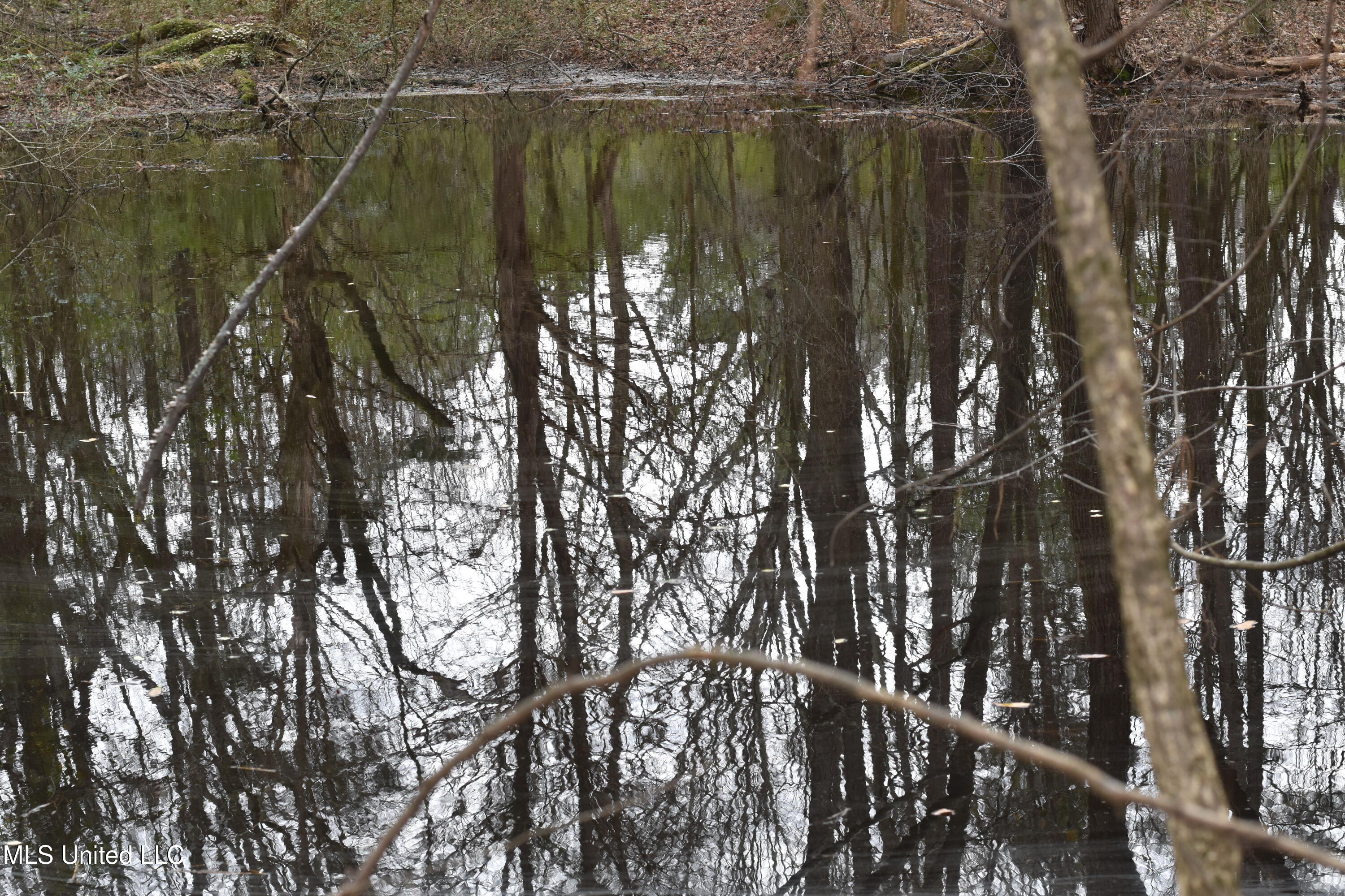 Gravel Springs Road, Senatobia, Mississippi image 3