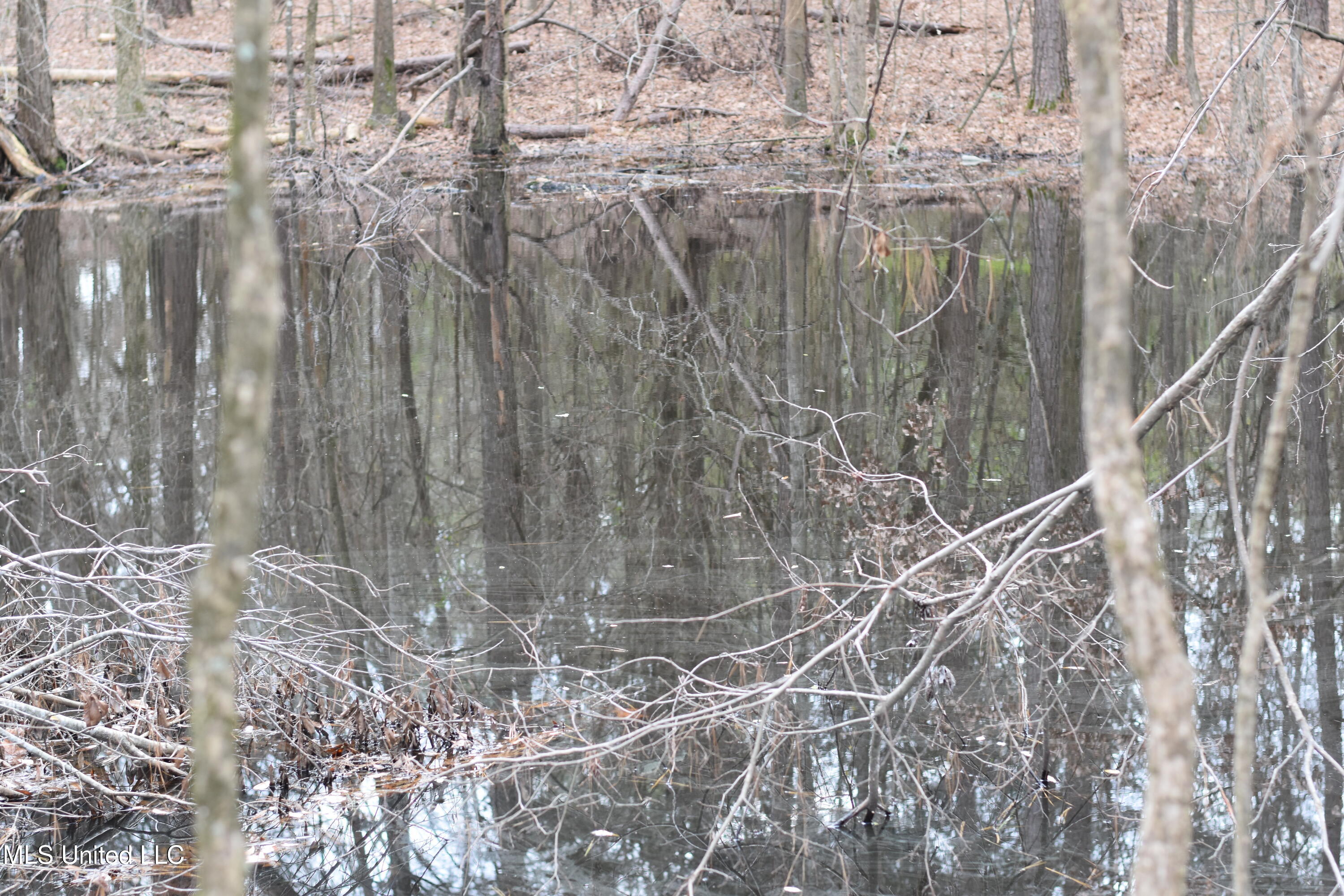 Gravel Springs Road, Senatobia, Mississippi image 5