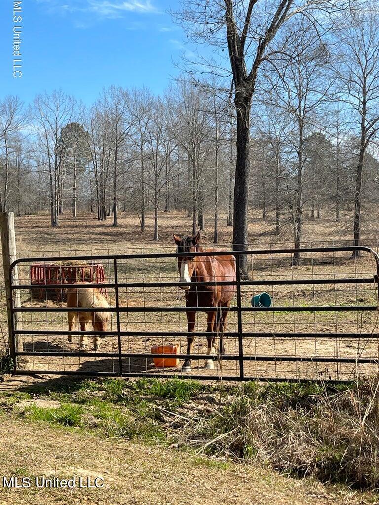 1314 Ashley Road, Brandon, Mississippi image 16