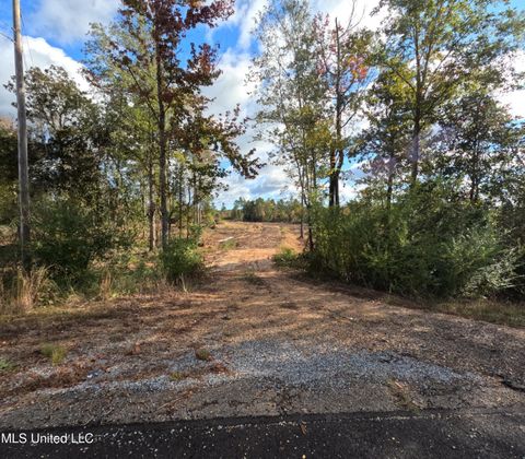 Vacant Land For Sale - William Warren Road<br/> Covington County, Collins, MS 39428