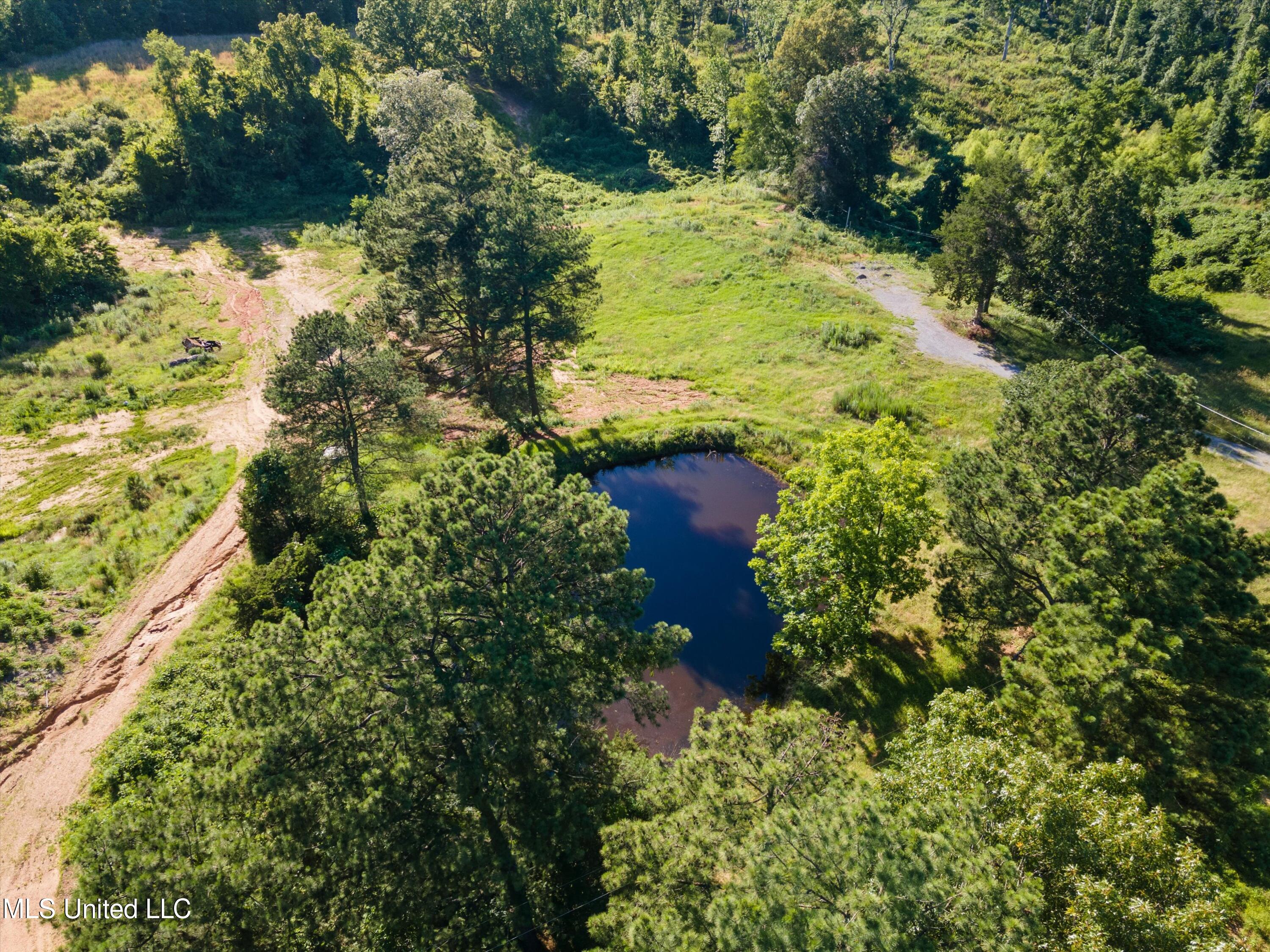 Lot 3 Old Memphis Oxford Road, Coldwater, Mississippi image 6