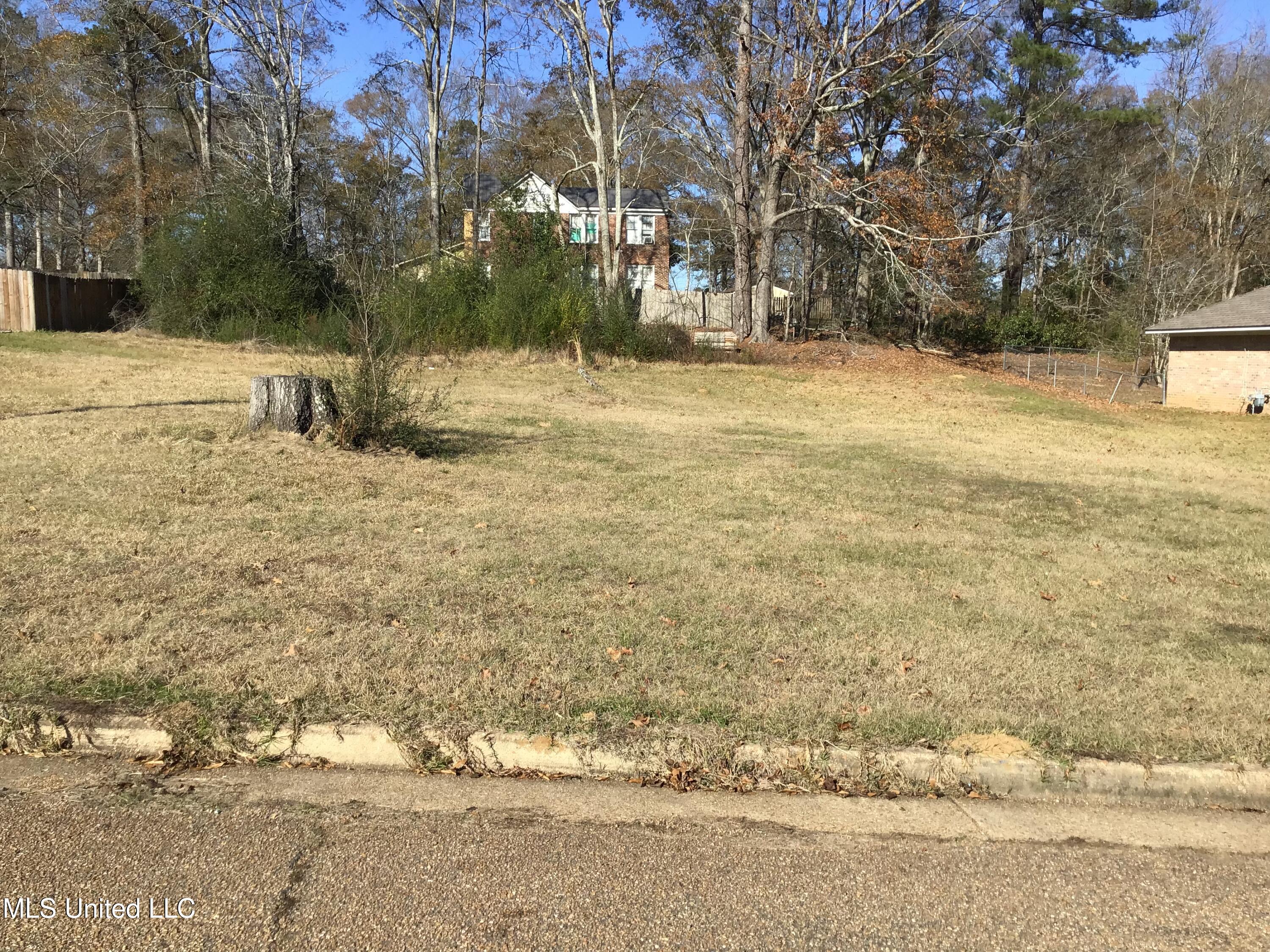 Oak Vinyard Drive, Jackson, Mississippi image 1