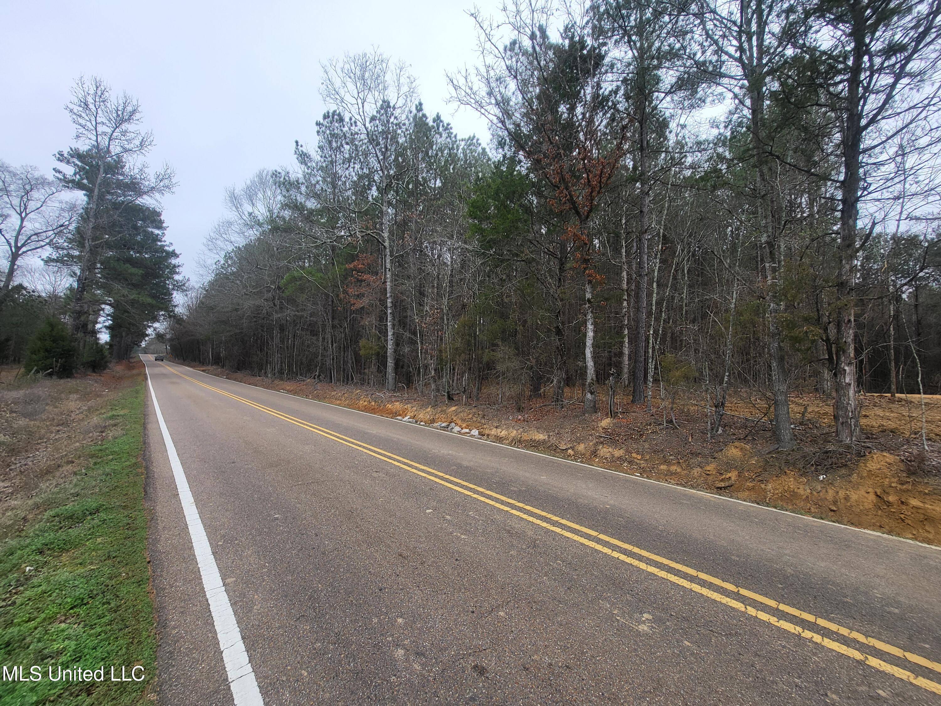 Monterey Road, Pearl, Mississippi image 3