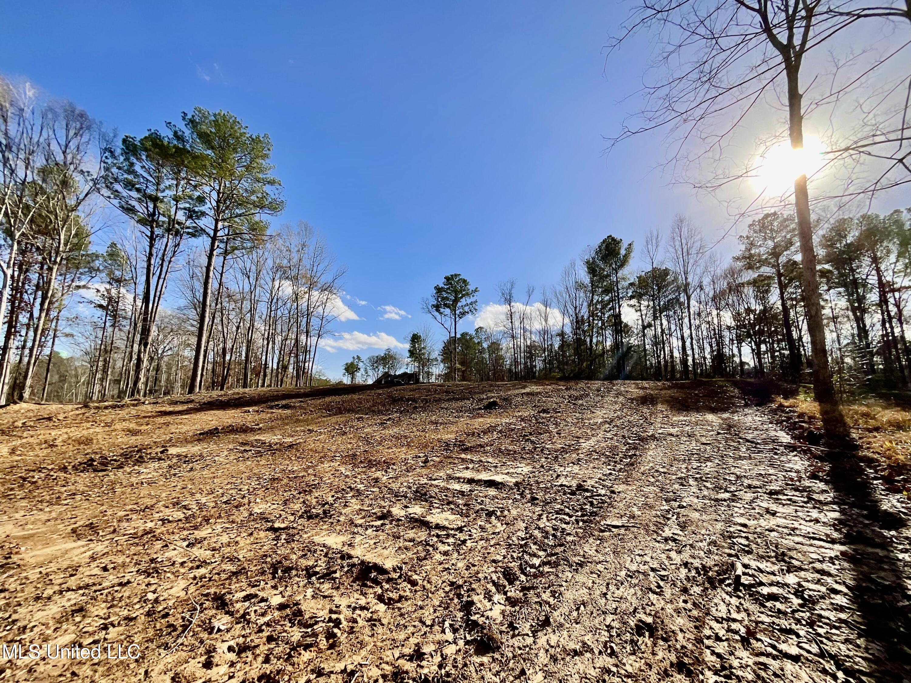 Dogwood Trace, Brandon, Mississippi image 7