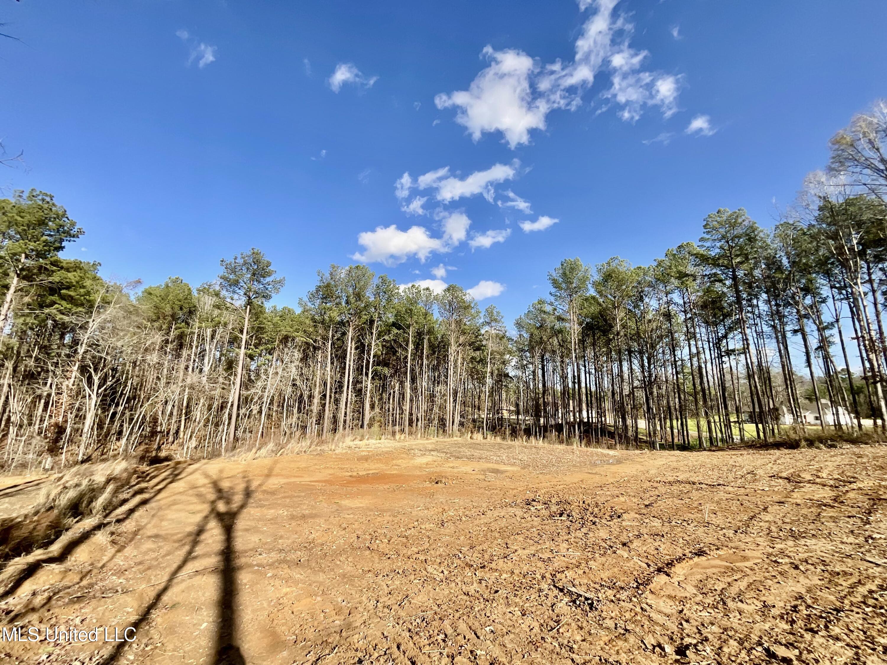 Dogwood Trace, Brandon, Mississippi image 6