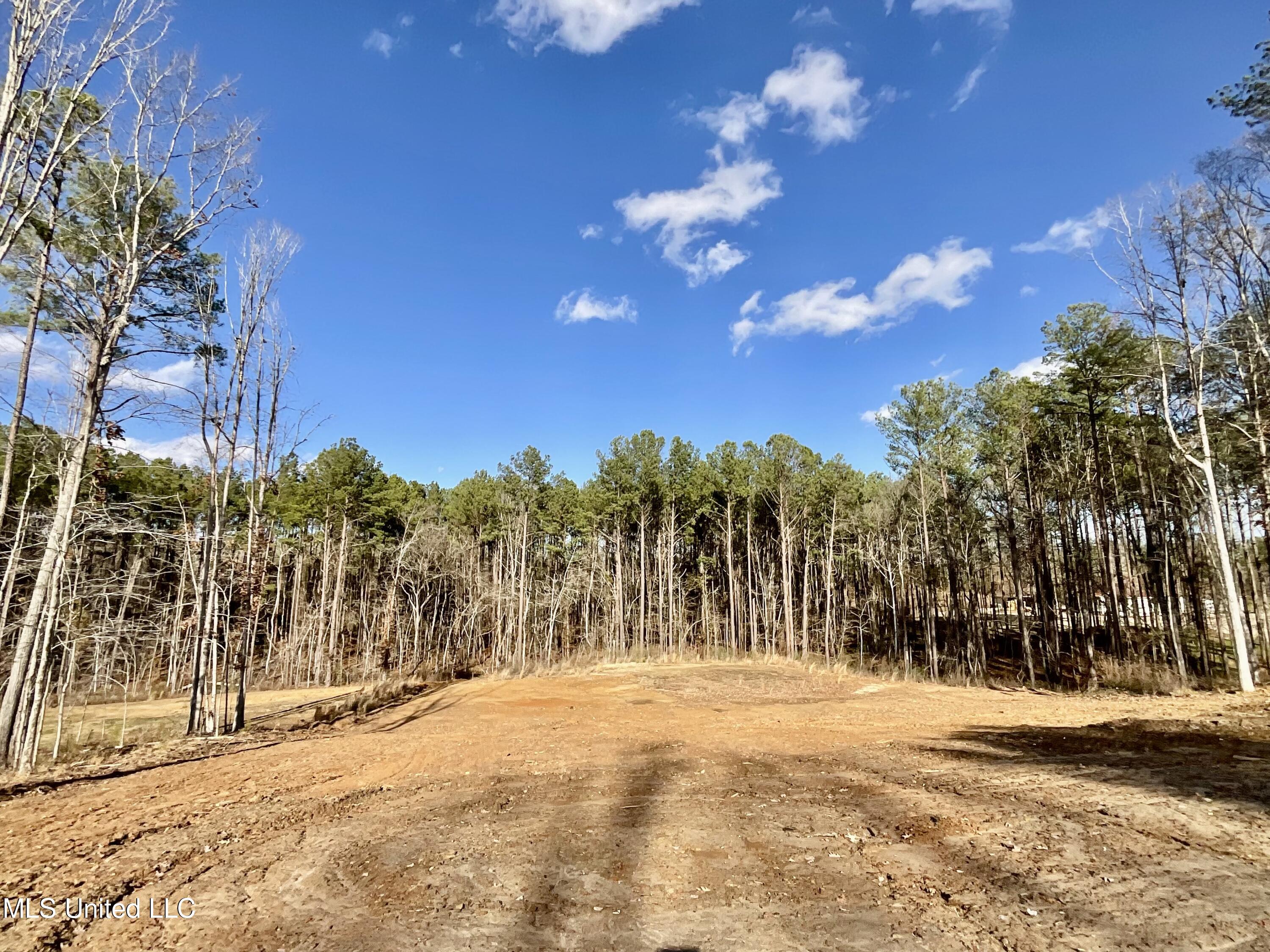 Dogwood Trace, Brandon, Mississippi image 4