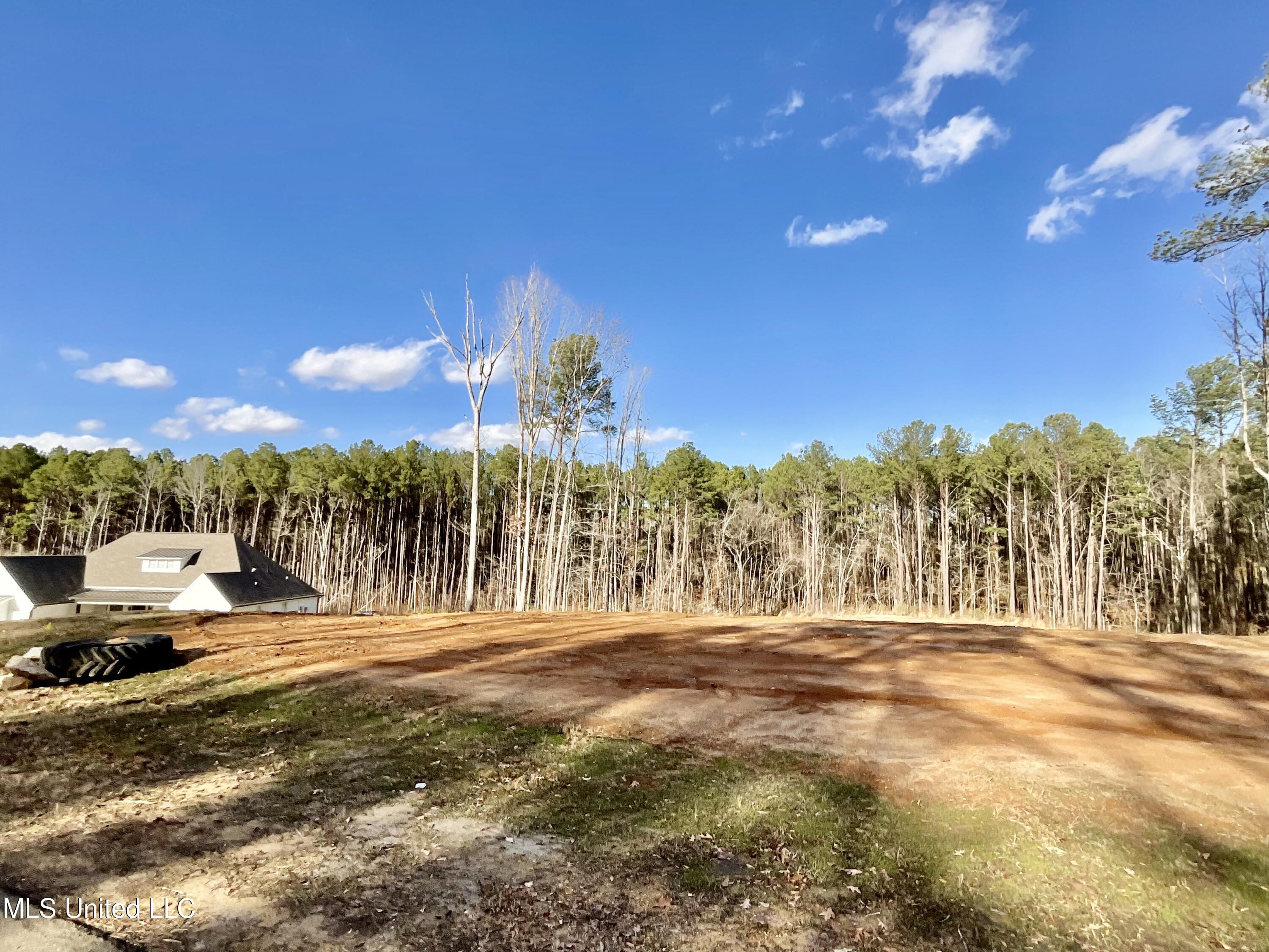 Dogwood Trace, Brandon, Mississippi image 3