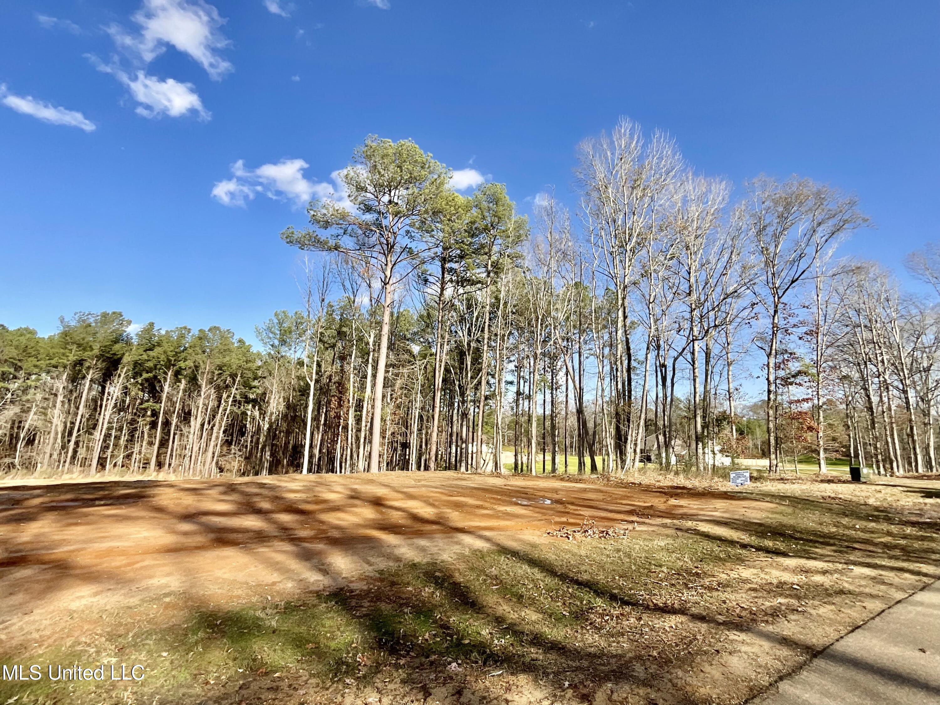 Dogwood Trace, Brandon, Mississippi image 2