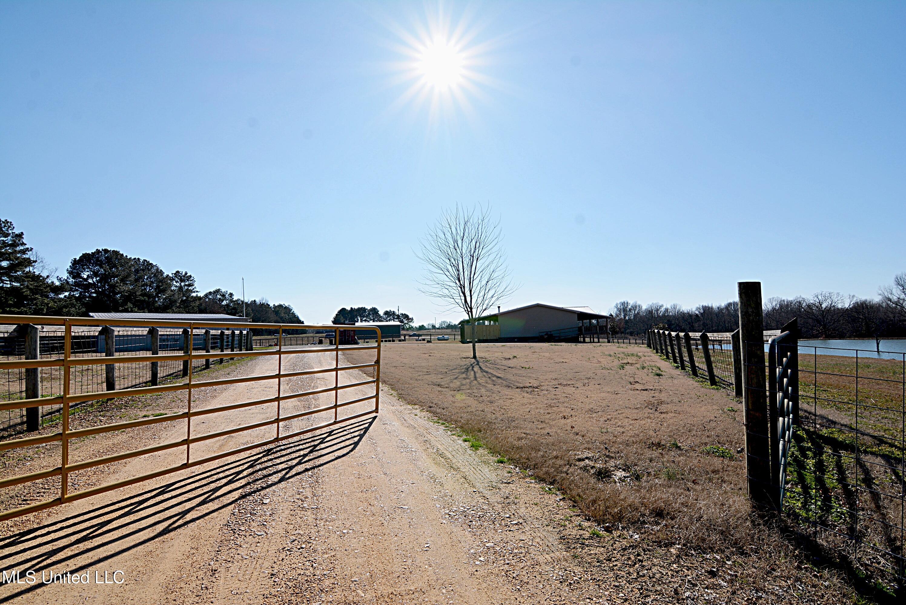 150 Bett Road, Coldwater, Mississippi image 40