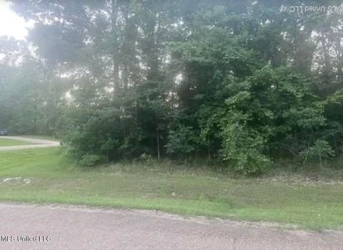 Vacant Land For Sale - Wood Duck Cove<br/> Raymond, MS 39154