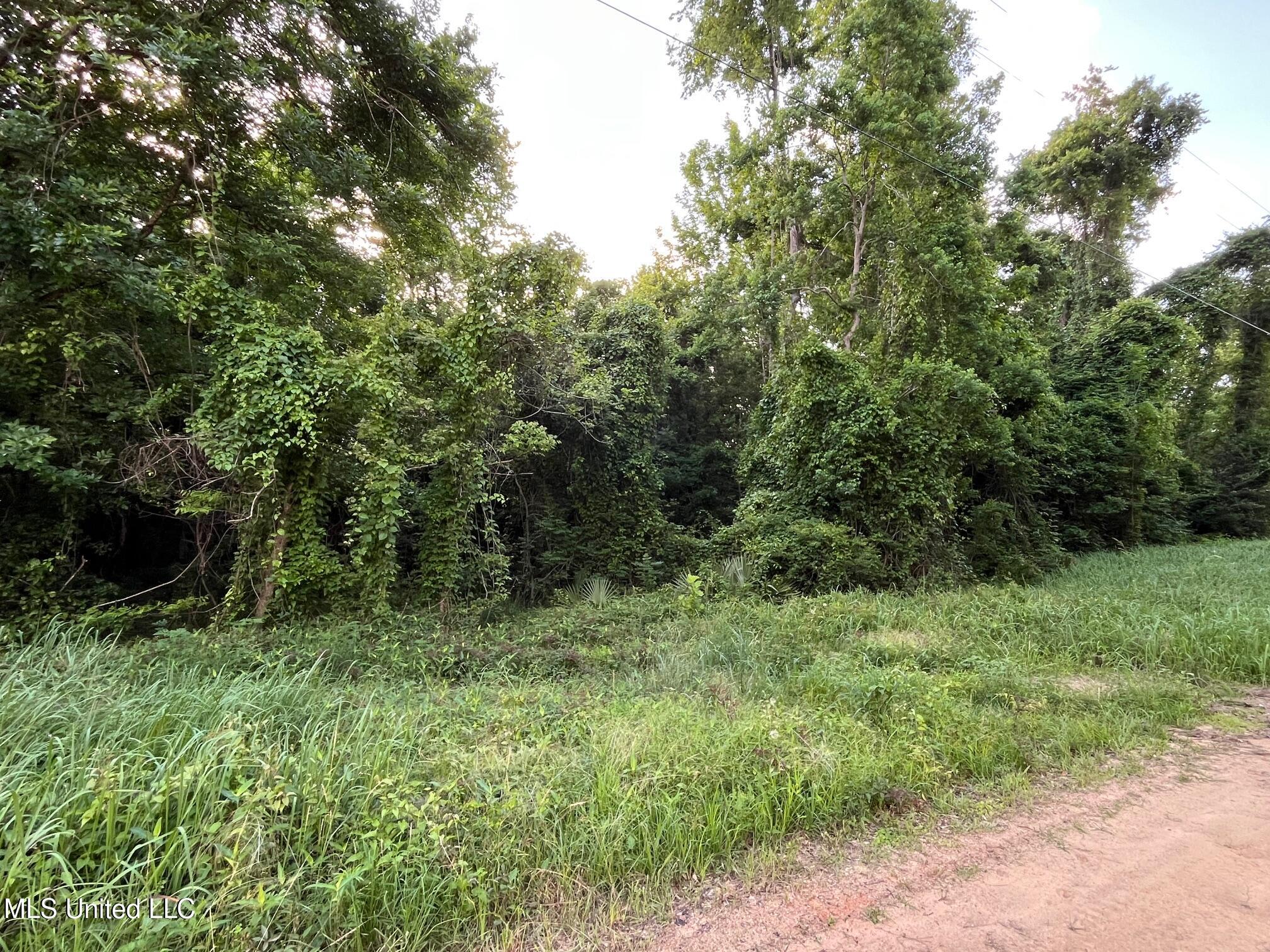 5 +/- Ac Vicie Lane, Leakesville, Mississippi image 5