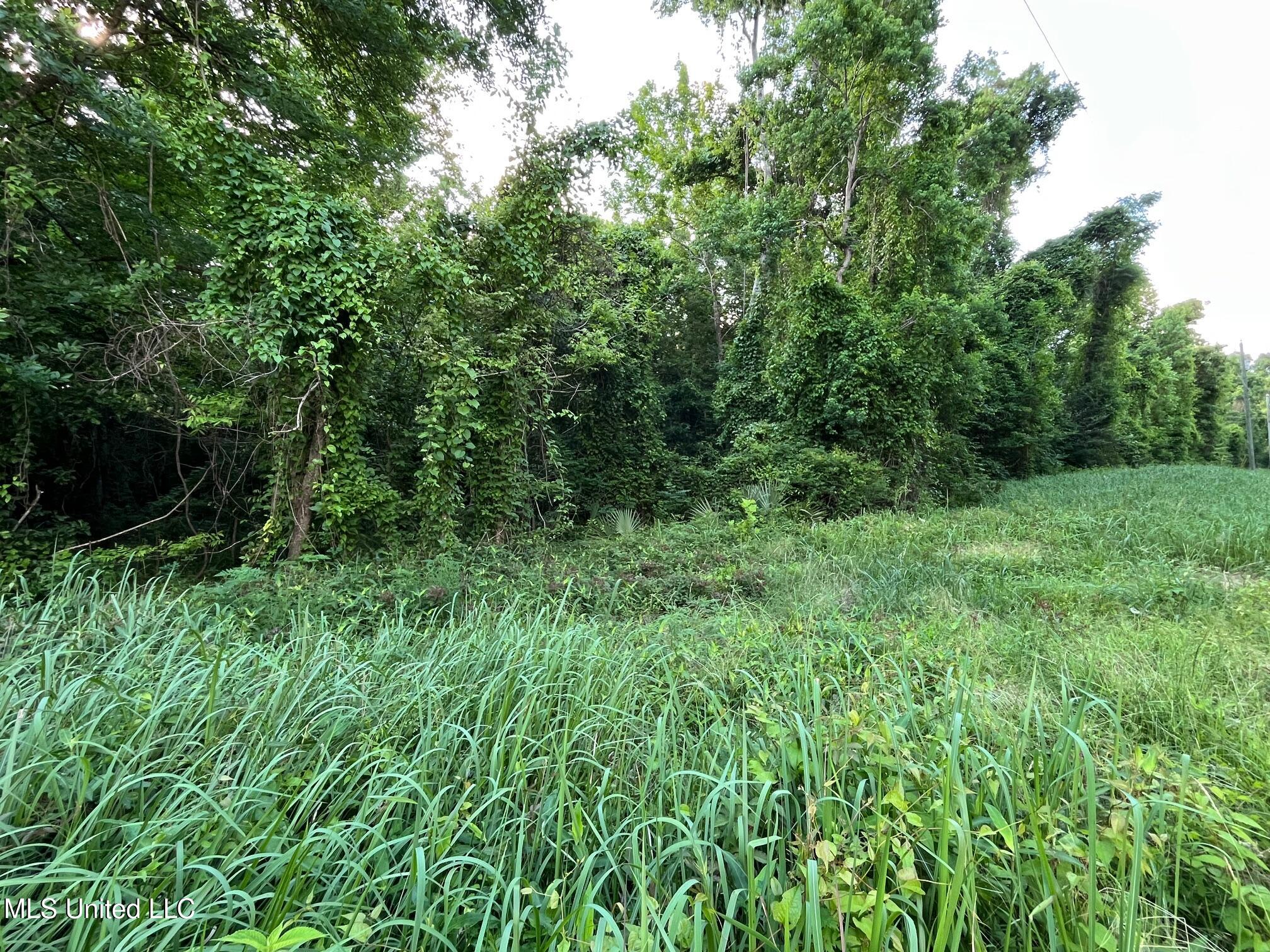 5 +/- Ac Vicie Lane, Leakesville, Mississippi image 3