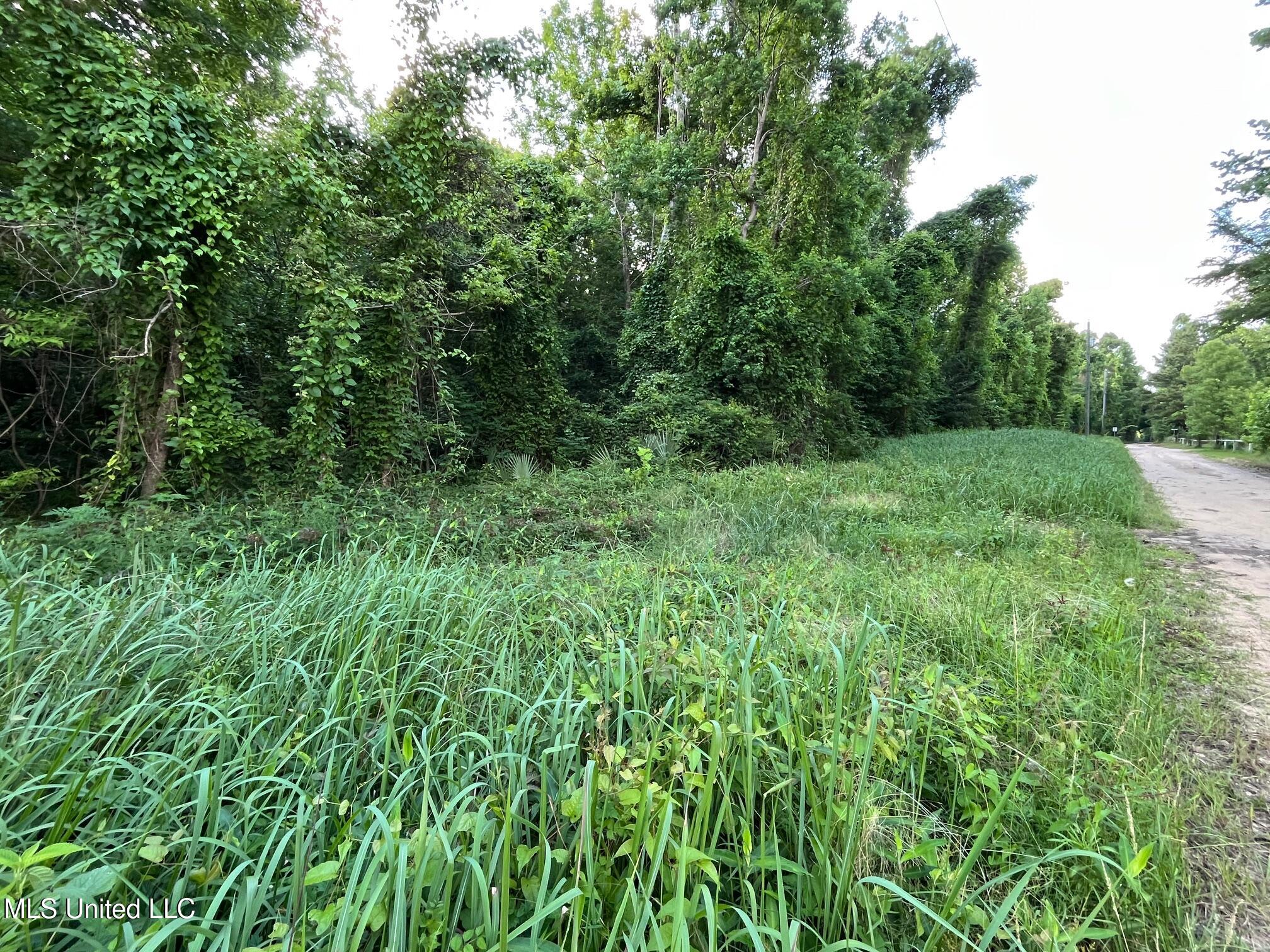 5 +/- Ac Vicie Lane, Leakesville, Mississippi image 2