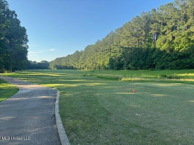 Fairway Drive, Natchez, Mississippi image 9