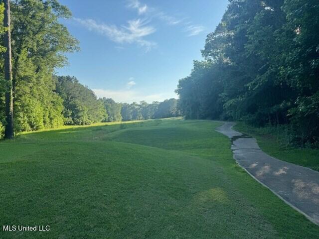 Fairway Drive, Natchez, Mississippi image 5