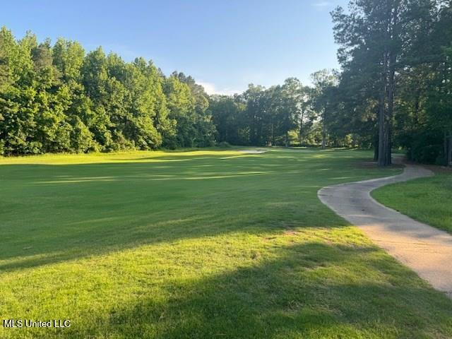 Fairway Drive, Natchez, Mississippi image 1