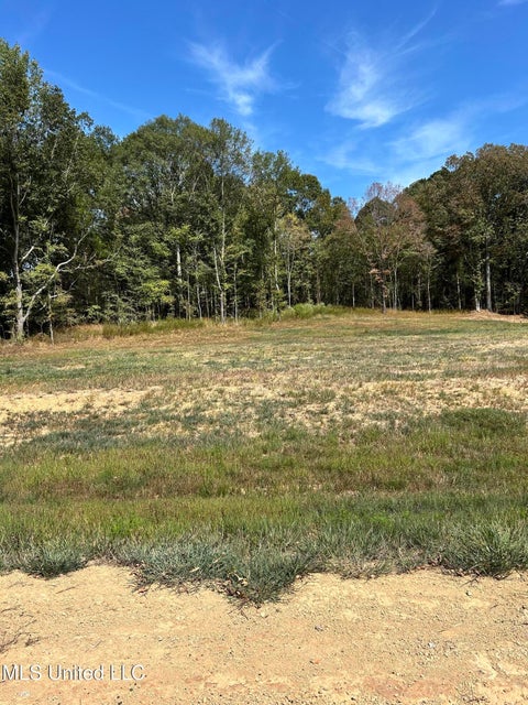 Vacant Land For Sale - 20 Pebble View Drive Cv<br/> Byhalia, MS 38611