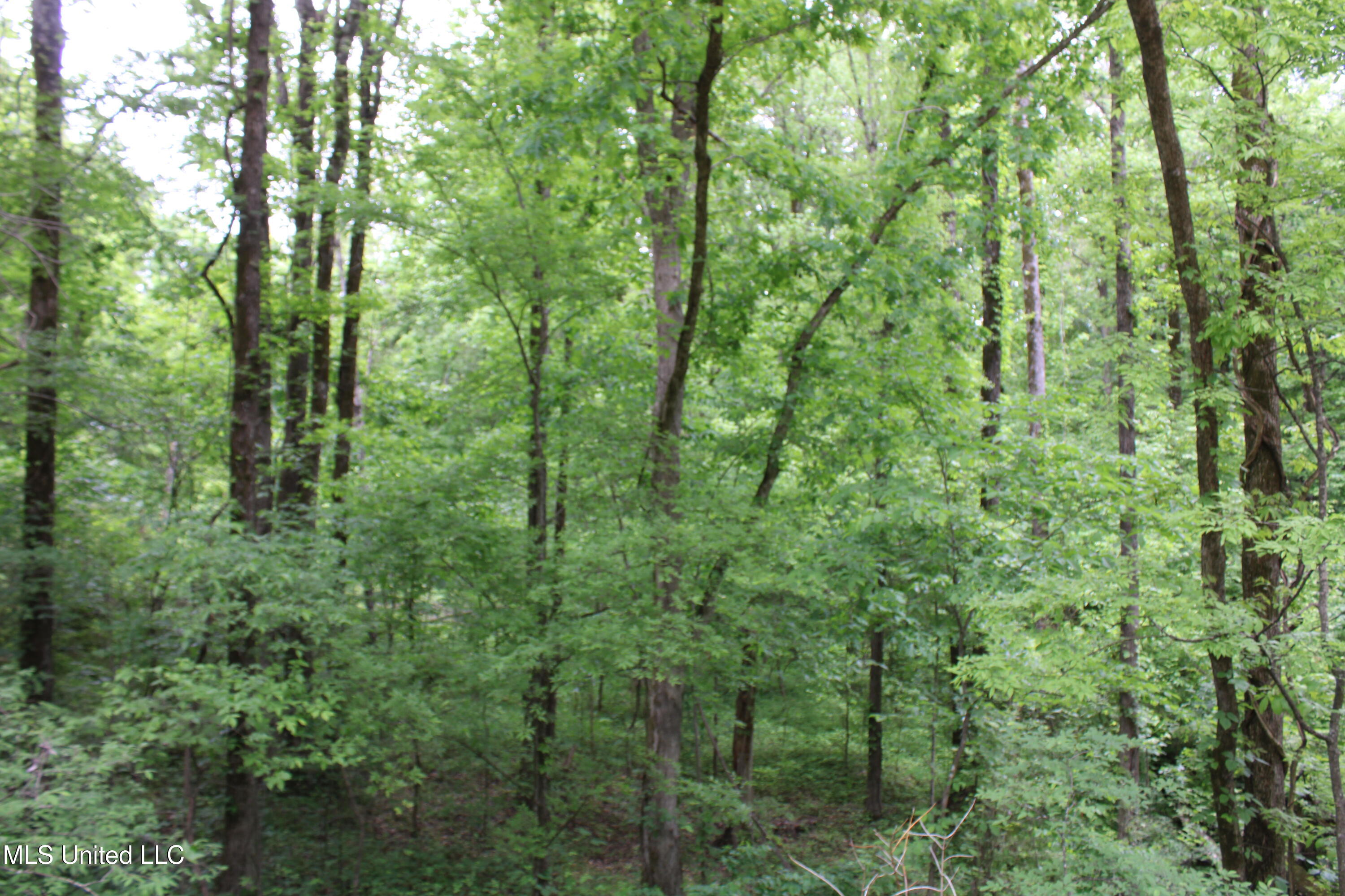 3550 Highway 3, Sarah, Mississippi image 8