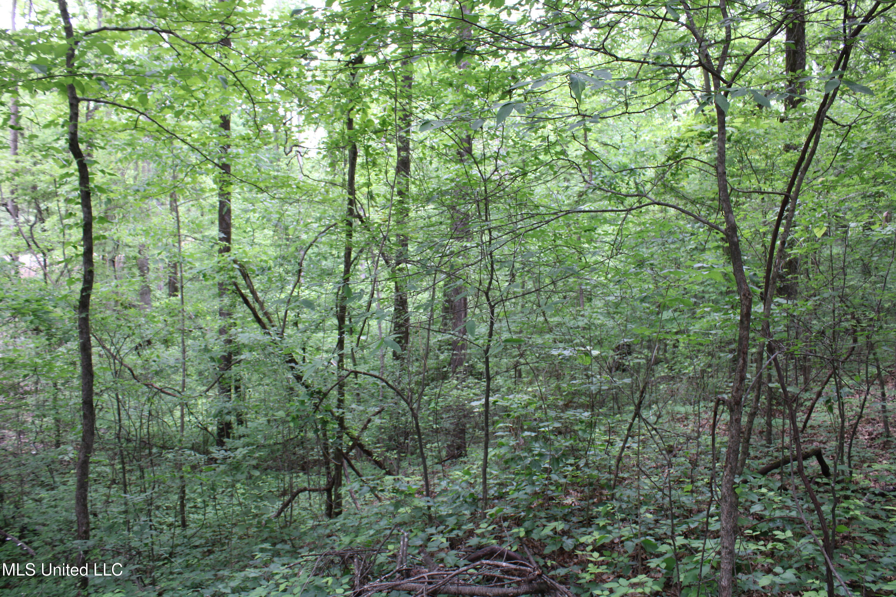 3550 Highway 3, Sarah, Mississippi image 6