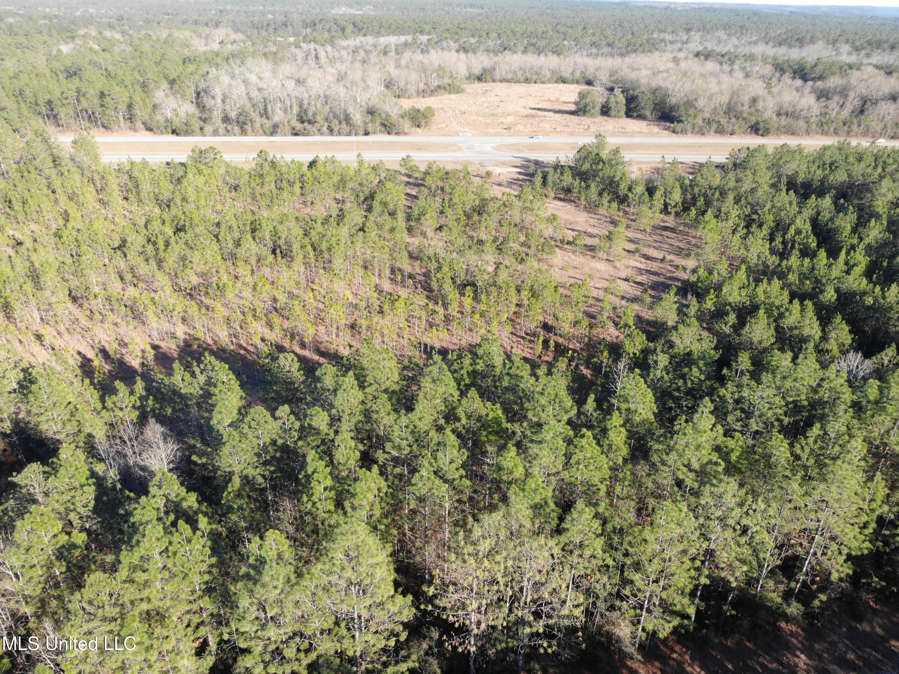 26631 S Highway 49, Saucier, Mississippi image 9