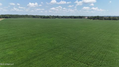 Vacant Land For Sale - 9355 Hwy 65<br/> Waterproof, LA 71375