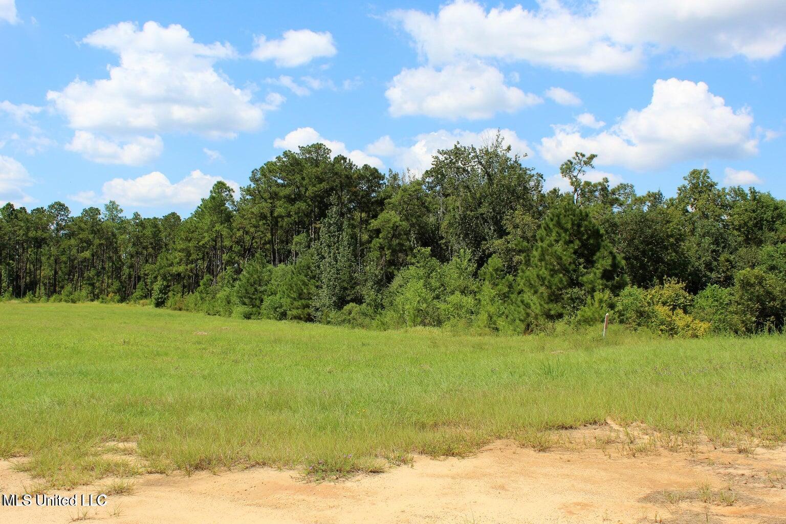 10.7 Acres Highway 98, Lucedale, Mississippi image 6