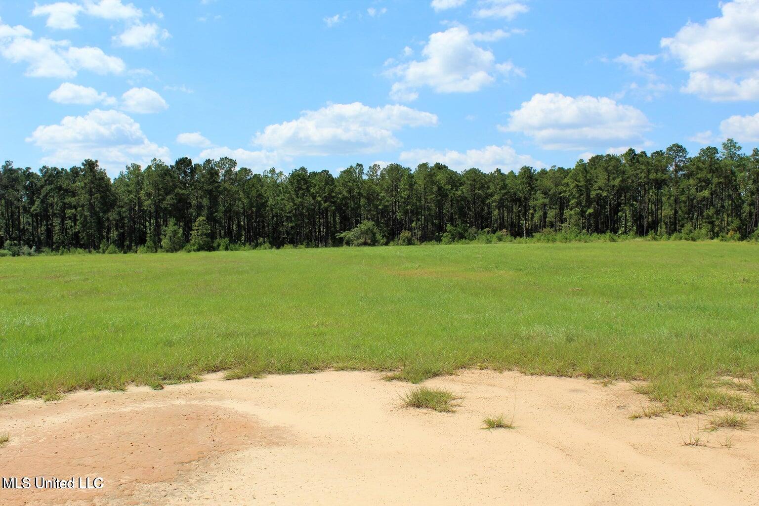 10.7 Acres Highway 98, Lucedale, Mississippi image 5