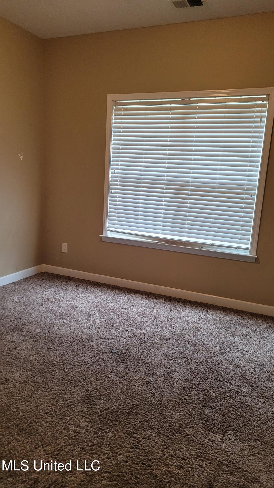 6923 Terry, Olive Branch, Mississippi image 6
