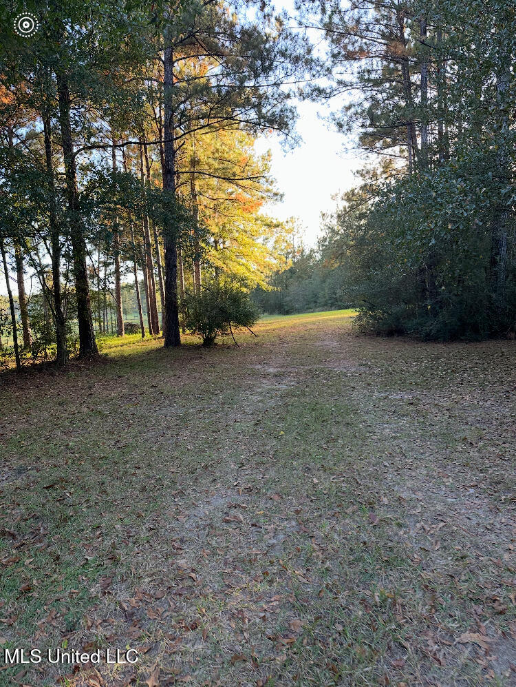 St Angelo Lane, Poplarville, Mississippi image 3