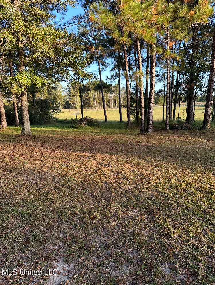 St Angelo Lane, Poplarville, Mississippi image 5