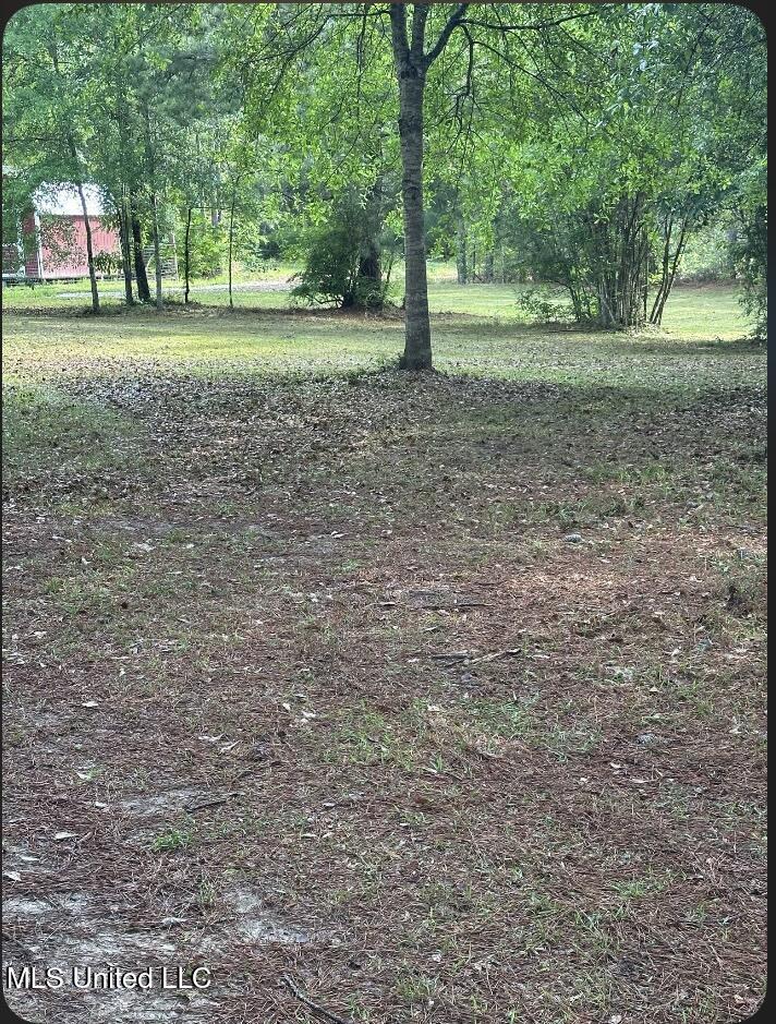 St Angelo Lane, Poplarville, Mississippi image 4