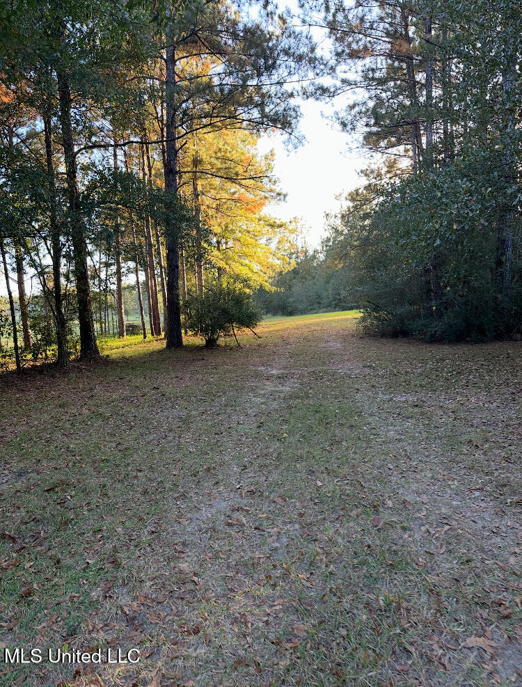 St Angelo Lane, Poplarville, Mississippi image 15