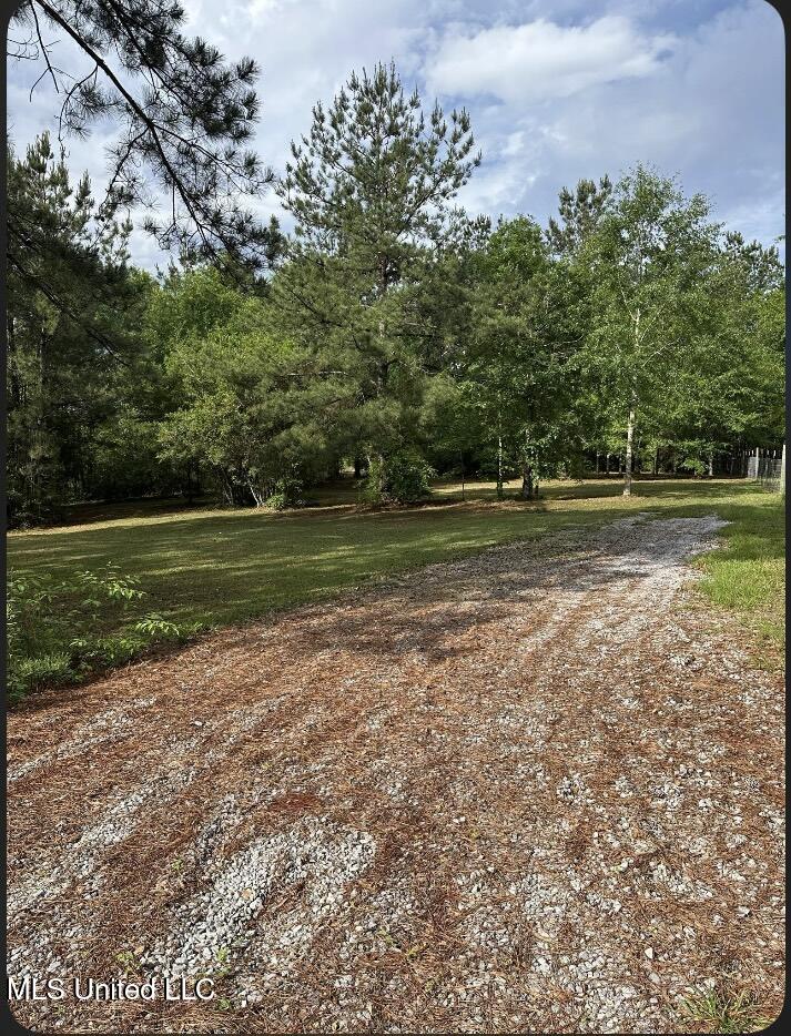 St Angelo Lane, Poplarville, Mississippi image 2