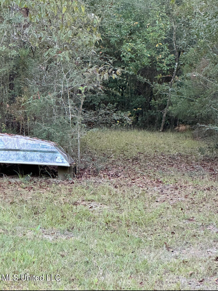 St Angelo Lane, Poplarville, Mississippi image 16