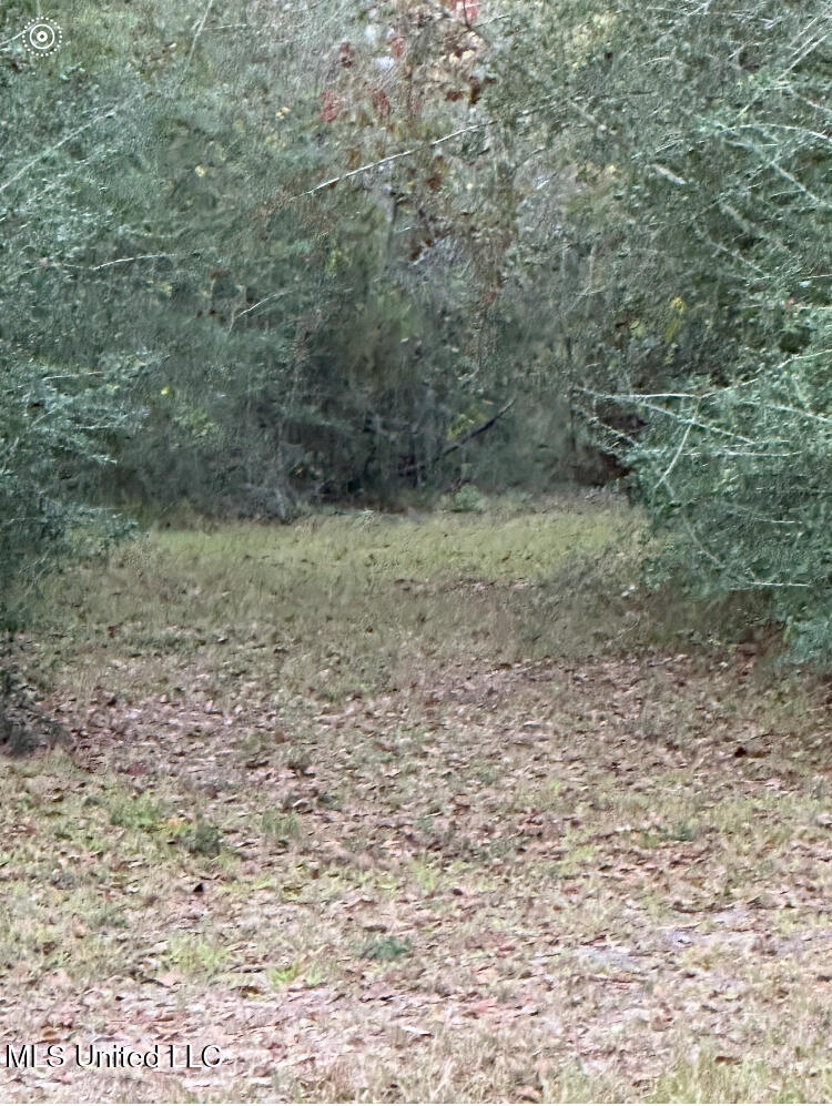 St Angelo Lane, Poplarville, Mississippi image 9