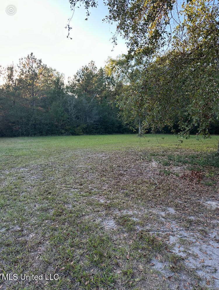 St Angelo Lane, Poplarville, Mississippi image 7