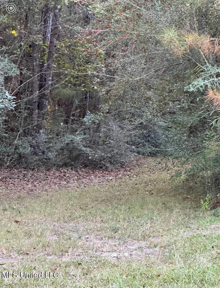 St Angelo Lane, Poplarville, Mississippi image 6