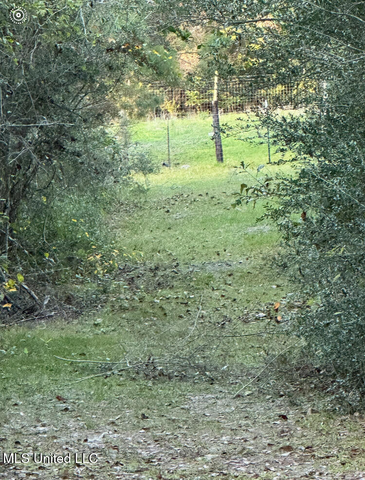 St Angelo Lane, Poplarville, Mississippi image 10