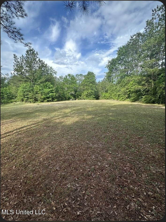 St Angelo Lane, Poplarville, Mississippi image 5