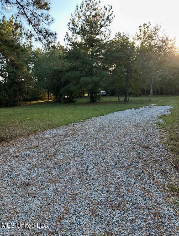 St Angelo Lane, Poplarville, Mississippi image 13