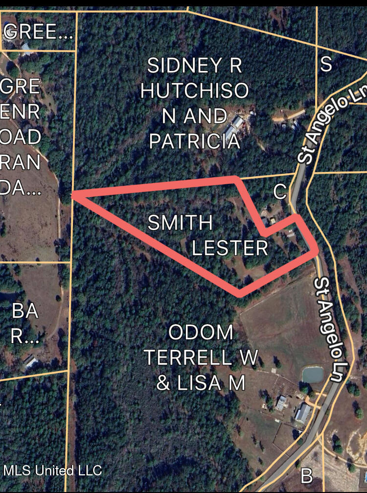 St Angelo Lane, Poplarville, Mississippi image 1