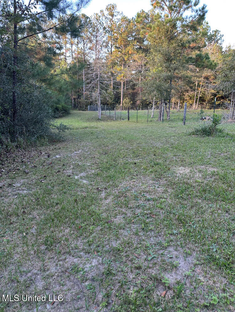 St Angelo Lane, Poplarville, Mississippi image 11