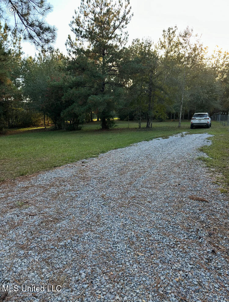 St Angelo Lane, Poplarville, Mississippi image 12