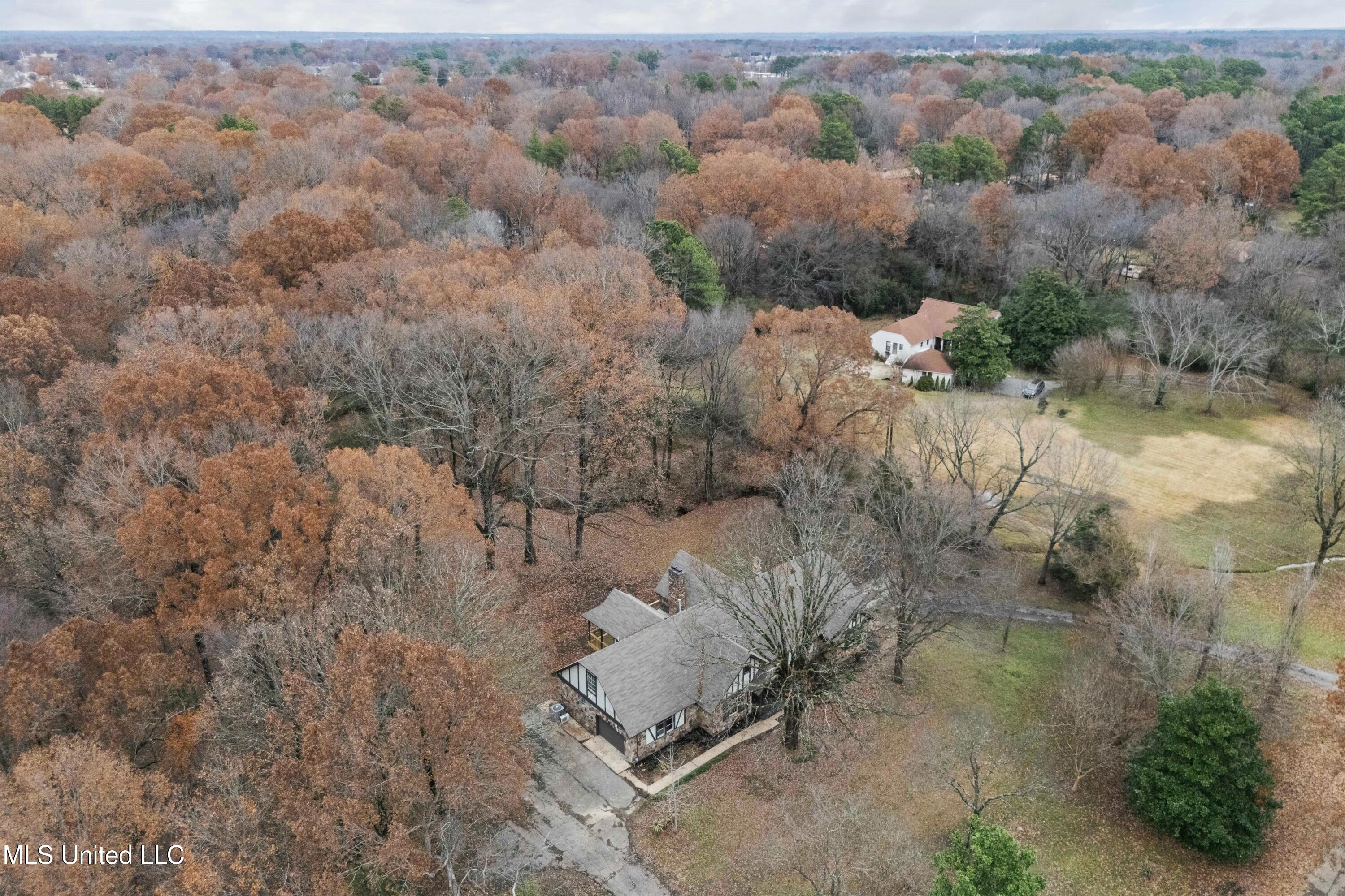 8532 Cedar Crest Lane, Olive Branch, Mississippi image 39