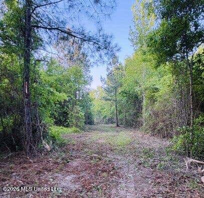 Vacant Land For Sale - Darron Hodge Lane<br/> Poplarville, MS 39470