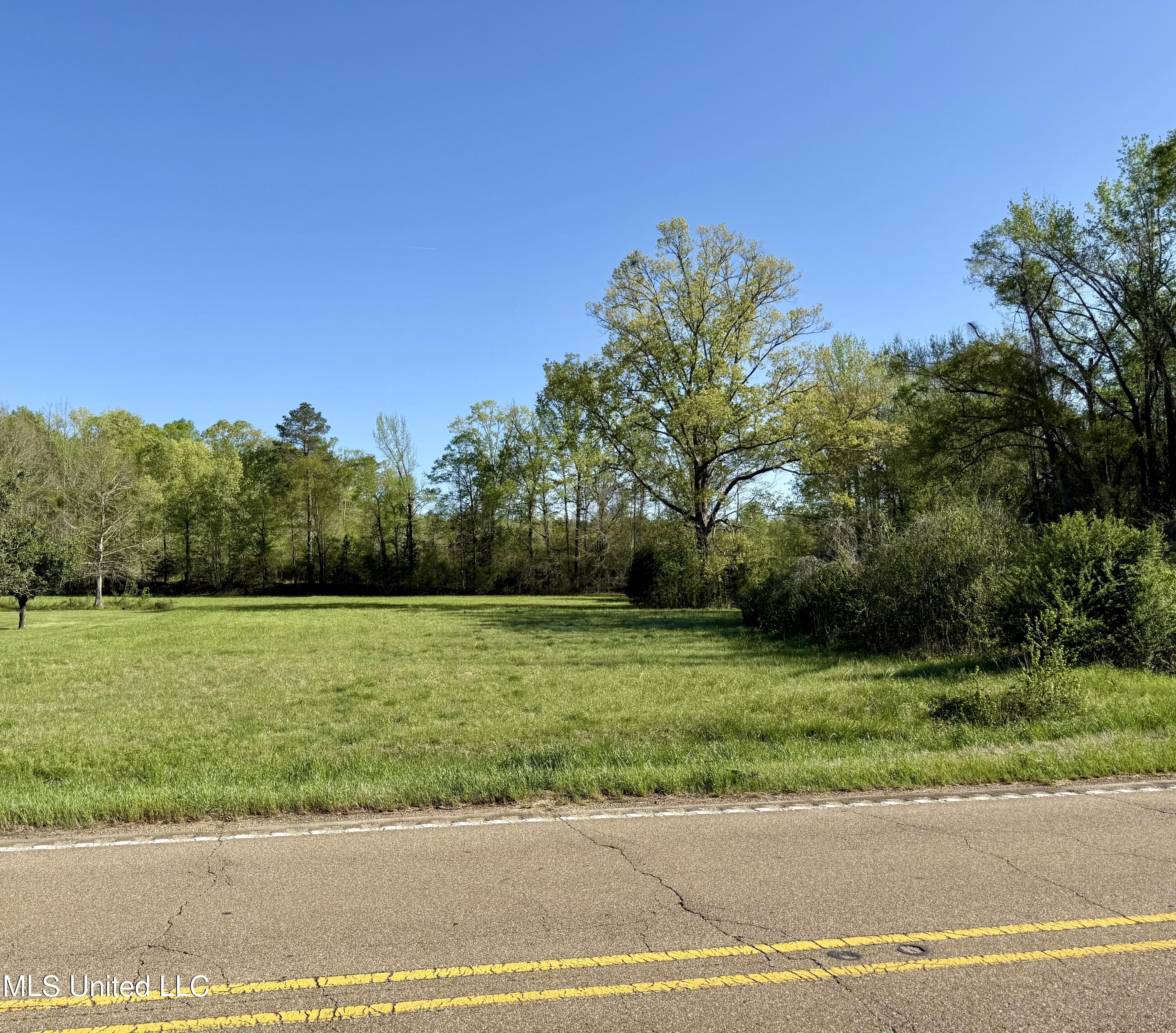 Hwy 12, Lexington, Mississippi image 3